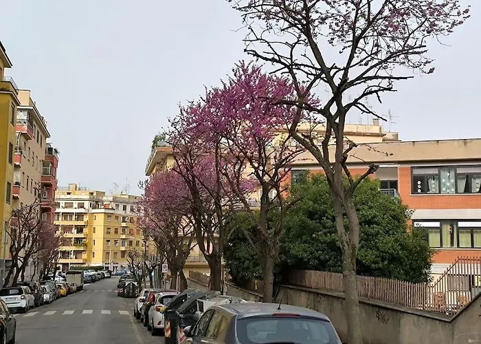 New And Beautiful House In The Heart Of Apartment Rom